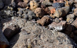 Karag�z&nbsp;(Ypthima&nbsp;asterope)   Hulusi Tezcan